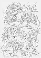 Coloring Pages Flower Fleurs Pattern Stress Choisir Tableau Un sketch template