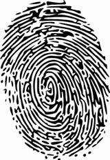 Fingerprint Crime Clipart Scene Blue Clip Investigator Vector Cliparts Finger Criminal Clker Background Fingerprints Receives Award Identity Digital Library Shared sketch template