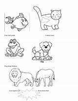 Animals Coloring Mistake Found sketch template