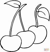Coloring Pages Cherry Cherries Printable sketch template