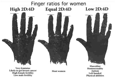 Gay men ring finger shorter