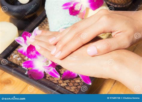 spa treatments  female hands close  stock photo image  hands