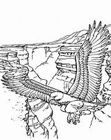 Coloring Eagle Bald Mountain Canyon Bird Falcon Netart sketch template