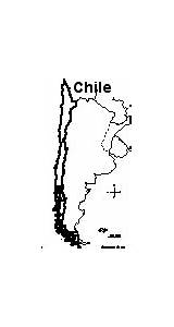 Chile Flag Printable Map Outline Enchantedlearning South America Coloring Chili Printout sketch template