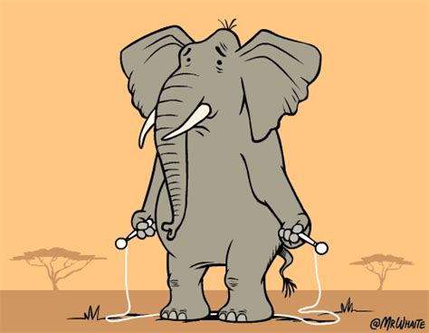 elephant jump rope find and share on giphy