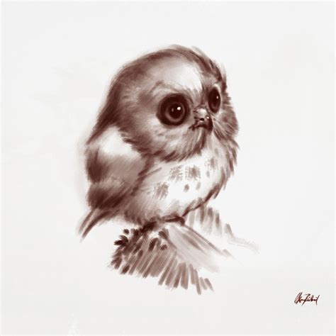 cute owl okan buelbuel  artstation  httpswwwartstationcom