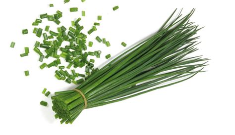 chives  treated seedway