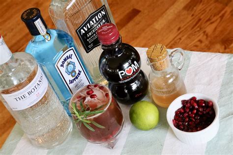 pomegranate gin fizz cocktail drink recipe dobbernationloves