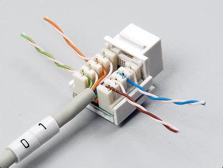 legrand cat  modular plug wiring diagram
