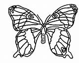 Colorat Desene Planse Fluture Fluturi Animale Insecte Fluturasi Fluturas Fluturele Colorati sketch template