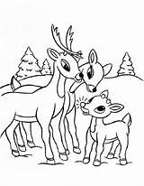 Reindeer Coloring Pages Printable Kids Christmas Santa Reindeers sketch template