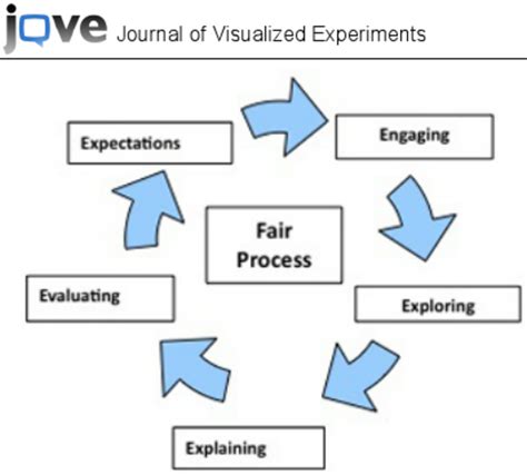 elements  fair process   patient provider interaction