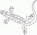 Coloring Reptiles Amphibians sketch template