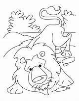 Lion Mouse Coloring Pages Color Getcolorings Printable sketch template