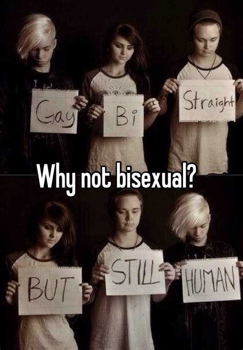 Why Not Bisexual