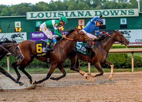 louisiana downs announces  stakes schedule bloodhorse
