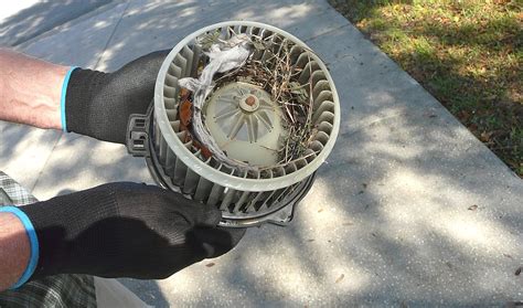 average blower motor replacement cost
