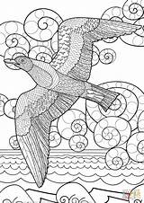Coloring Zentangle Ocean Pages Seagull Flying Supercoloring Adult Printable Drawing Animals Categories sketch template