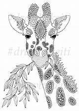 Giraffe Coloring Pages Choose Board sketch template