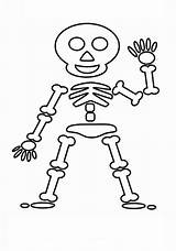 Squelette Skeletons Whitesbelfast Coloriages Coloringhome sketch template