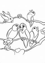 Robin Coloring Pages Singing Birds sketch template