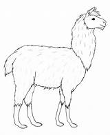 Llama Drawing Alpaca Line Lineart Drawings Deviantart Getdrawings Cute Clipart sketch template