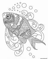 Poisson Adulte sketch template