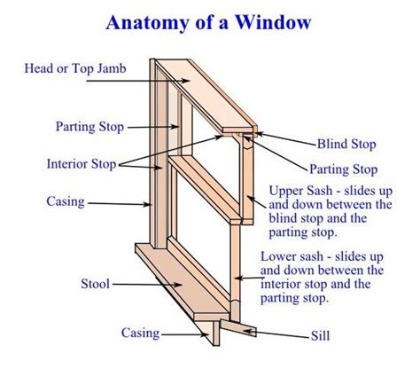 anatomy   window   install replacement windows frame  sash wood shed plans