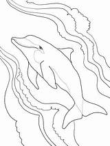 Dolphin Coloring Pages Bottlenose Tale Drawing Getdrawings Getcolorings Printable Spinner Silhouettes Supercoloring sketch template