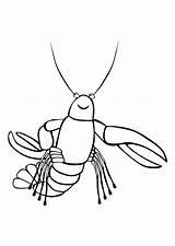 Krebs Kreeft Aragosta Colorat Langosta Dibujo Lobster Desene Malvorlage Kleurplaat Homar Crawfish Planse Insecte Albina Kleurplaten Animale Schoolplaten Ausdrucken Educolor sketch template