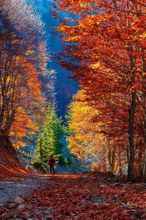 fall colors images  pinterest fall landscapes  autumn