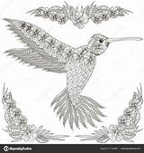 Colibri Zentangle Antistress Hummingbird Vecteur Coloration Ukr sketch template