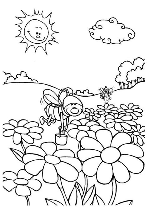nature coloring pages  kindergarten coloring pages nature mandala