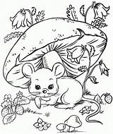 Coloring Pages Animal 1000 Color sketch template