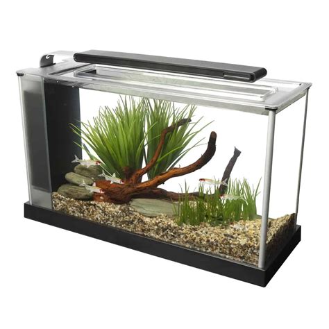 gallon fish tank  perfect nano aquarium size