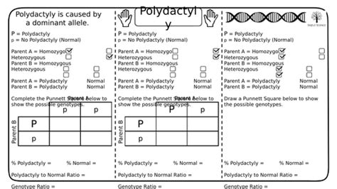 Inherited Disorders And Sex Determination Gcse Biology Worksheets