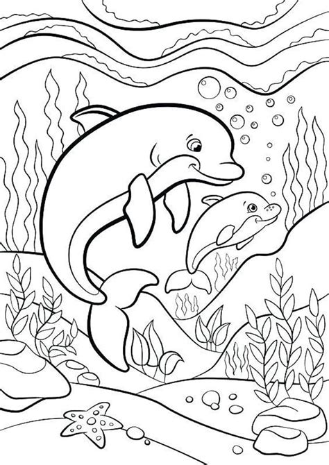 easy  print dolphin coloring pages dolphin coloring pages summer coloring pages