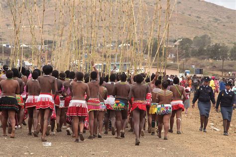 South Africa Zulu Reed Dance Ceremony 6563648943 – Ritual In Motion