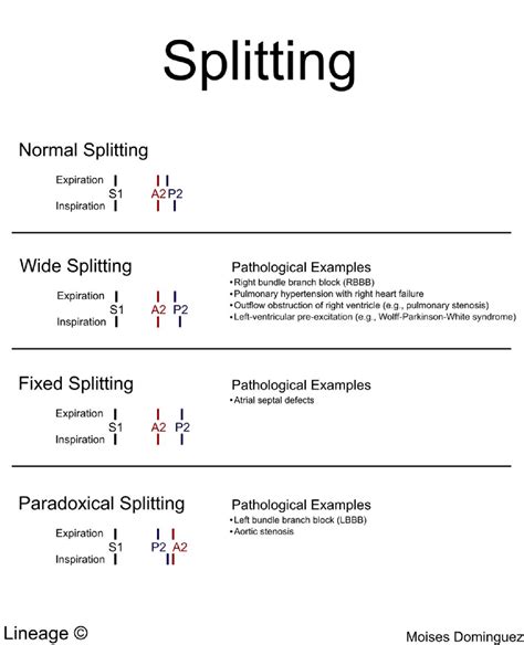 splitting cardiovascular medbullets step