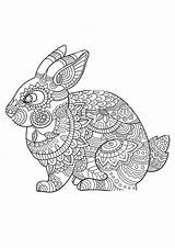 Mandala Coloring Pages Rabbit Printable Color Zentangle Adults Hard Print sketch template