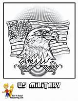 Coloring Eagle American Army Military Pages Printables Color Yescoloring Usa Brawny Logo sketch template