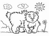 Bear Coloring Kids Pages Drawing Brown sketch template