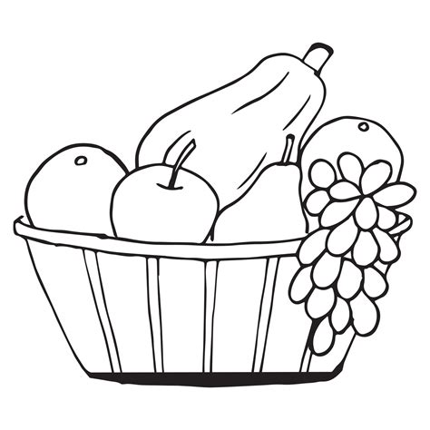 fruit basket coloring page  kids vector illustration eps  image