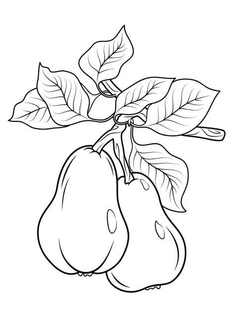 pears   branch coloring page  printable coloring pages  kids