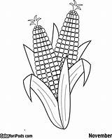 Corn Coloring Pages Ear Drawing Printable Colouring Three Para Cob Ears Sheets Squash Beans Sisters Color Kids Sheet Template Aboriginal sketch template