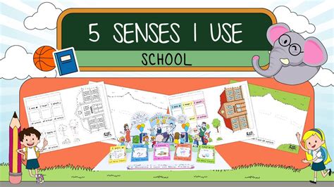 senses activity  preschool  kindergarten youtube