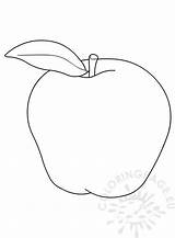 Apple Coloring Fruit Shape Vector Template Red Coloringpage Eu sketch template