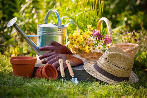 Beneficios De La Jardinería Para Tu Salud Mental Consejos Blog De