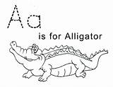 Alligator Coloring Pages Letter Kids Printable Tracing Crocodile Sheets Print Trace Preschool Color Sheet Lawteedah Alligators Activity Baby Worksheets Clipart sketch template