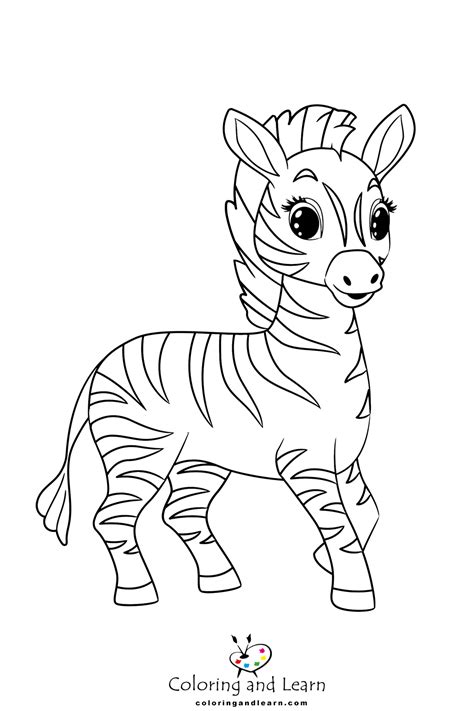 zebra coloring pages   coloring  learn